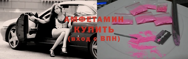 дмт Богданович