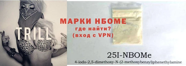 дмт Богданович