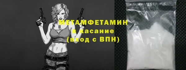 дмт Богданович
