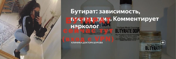 дмт Богданович