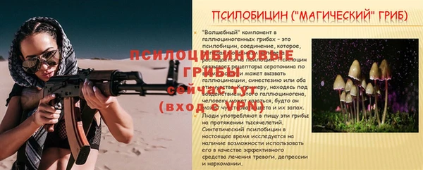 спиды Белокуриха