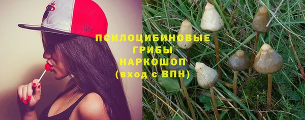 дмт Богданович