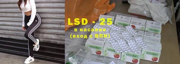 дмт Богданович